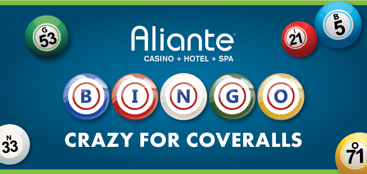 aliante bingo image