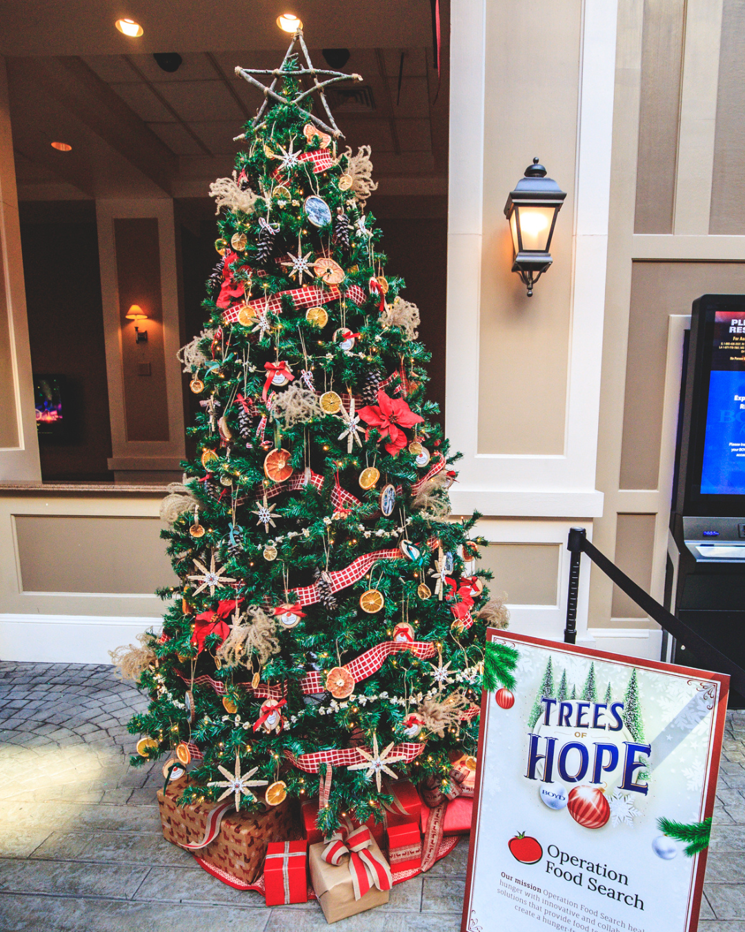 trees of hope